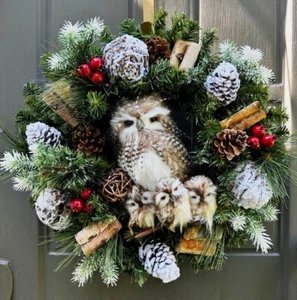 Eulenkranz Wintereule Eule Familienkranz Weihnachten Eulenkranz Naturkranz - Bild 1 von 6
