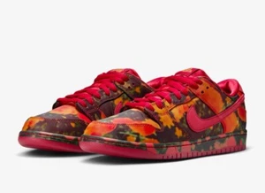 Nike SB Dunk low The Wizard of Oz Poppy Field 42 ✅ NEU - Bild 1 von 4