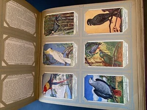 Album chromos Liebig - Picture 1 of 22