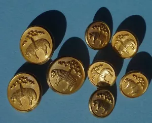 8 Buttons Golden Fleece Waterbury Gold Logo Blazer BROOKS BROTHERS Sheep - Picture 1 of 3
