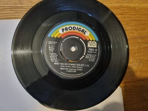 Stoney & Meat Loaf – What You See Is What You Get 7" Prodigal Records - Picture 1 of 5