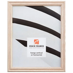 Craig Frames 200ASHWW 8 by 10-Inch Picture Frame, Wood Grain Finish, 0.75-Inc... - Picture 1 of 6