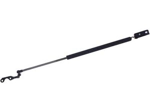 Right Liftgate Lift Support 79NBBC69 for Scion xA 2005 2004 2006