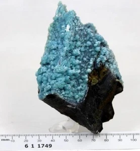 300 g increíble botrioidal bonito racimo azul Gibbsita Wenshan Yunnan China CM611749 - Imagen 1 de 3