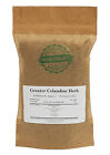 Greater Celandine Herb - Chelidonium Majus L # Herba Organica # nipplewort