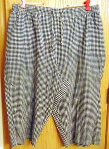 Stretch White Stag Woman Check Shorts Pockets Elastic Waist 3X 22Wx24W Excellent - Picture 1 of 9