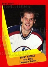 1990-91 ProCards AHL IHL #244 Brent Hughes