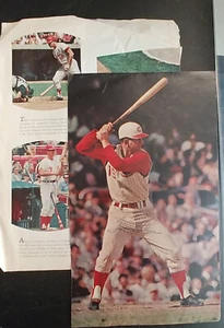 (2) Tommy Helms Autographed Vintage Magazine Photos Cincinnati Reds - Picture 1 of 1