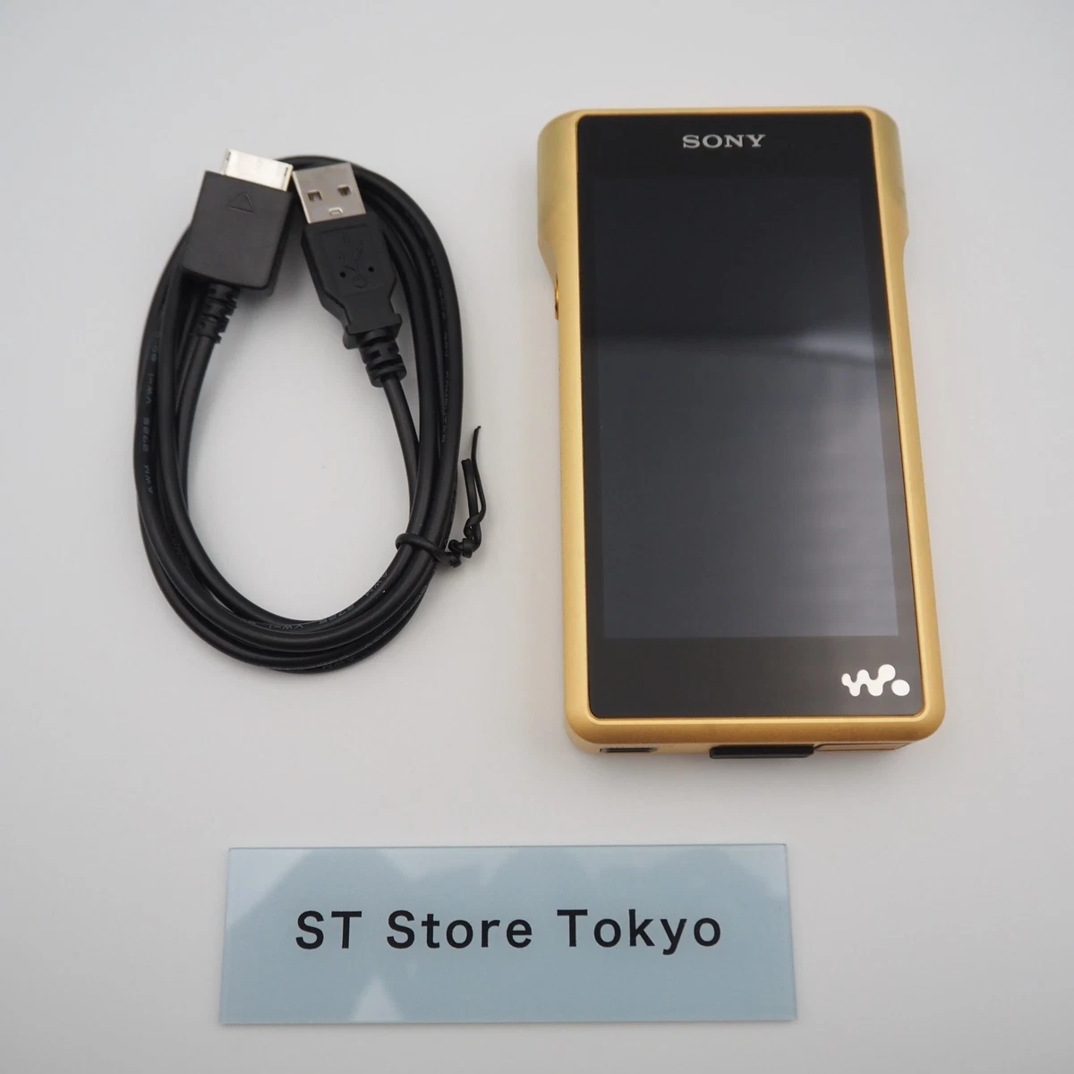 Sony USB 2.0 Connectivity MP3 MP4 Playable Media Format Players