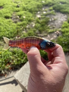 Custom Painted Glide bait slide 135 Premium Blank JUICY BLUEGILL 4x Hooks - Picture 1 of 4