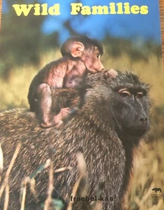 Wild Families Vintage Board Book froebel-kan photo Kojo - Picture 1 of 6
