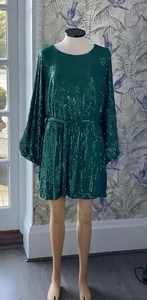 Green Sequin Dress by Be You Brand New with Tags Cost £60 Party Dress Size 18 - Picture 1 of 5