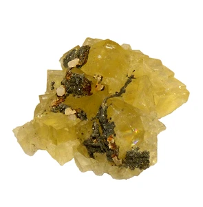 Gemmy gelber Fluorit Zwillingskristalle Cluster Präparat El Hamman Marokko 5,5 cm - Bild 1 von 16