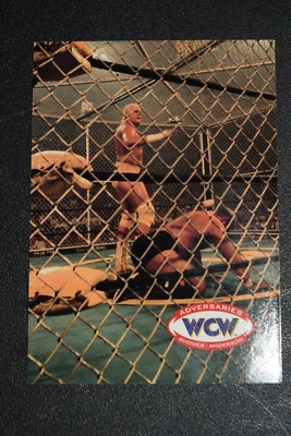 Dustin Rhodes & Arn Anderson 1995 Cardz WCW Main Event Wrestling Trading Card 71 - Image 1 of 2