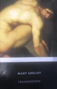 Frankenstein by Mary Shelley Paper Back _ Very good condition read a horror clas - Picture 1 of 1