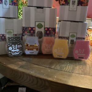 Scentsy Bricks And $20.00 EACH