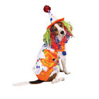 Zack  Zoey CLASS CLOWN Dog Costume Colorful Hat w/Wig Easy On/Off Closures