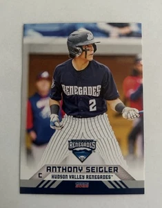 2022 Hudson Valley Renegades Anthony Seigler New York Yankees - Bild 1 von 1