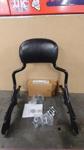 Harley Davidson 52300435 Kit, Detach Sissy Bar Upright,With Pad And Mounting Kit - Picture 1 of 10