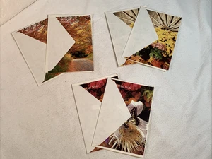 Lasting Impressions Greeting Card Vtg Lot x6 Birthday Note 1990 Litho USA Nature - Picture 1 of 19