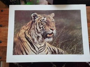 Royal Bengal Tiger Alan M Hunt Limited edition signed print. Unframed print only - Picture 1 of 11