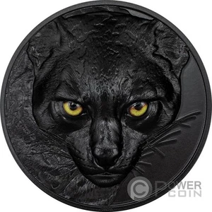 OCELOT Hunters By Night 2 oz moneta d'argento 10 $ Palau 2024 - Foto 1 di 5