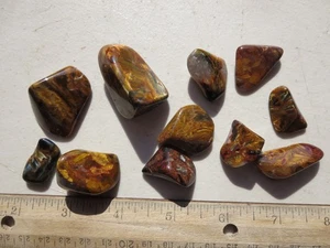 756 TAUMELPOLIERTER PIETERSIT.  SEHR HÜBSCHER, EX GESCHLOSSENER OLD TIME ROCK SHOP - Bild 1 von 2