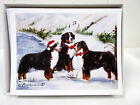 New Bernese Mountain Dog Holiday Greeting Card Set 6 Cards By Ruth Maystead