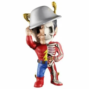 DC XXRAY - THE FLASH - X-Ray action figure - Picture 1 of 3