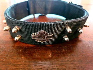 Harley-Davidson Collar de perro ajustable con tachuelas NUEVO - Imagen 1 de 7