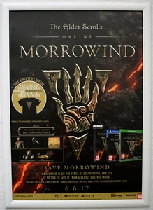 The Elder Scrolls Online: Morrowind RARE PS4 42cm x 59cm Promotional Poster - Picture 1 of 1