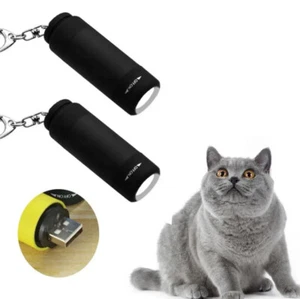 2pcs Mini LED Flashlight Torch USB Rechargeable Portable Pocket Light Keychain - Picture 1 of 8