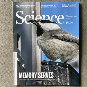 AAAS Science Magazine Vol 385 No 6713 6 September 2024 Bat Population Chickadees - Imagen 1 de 1