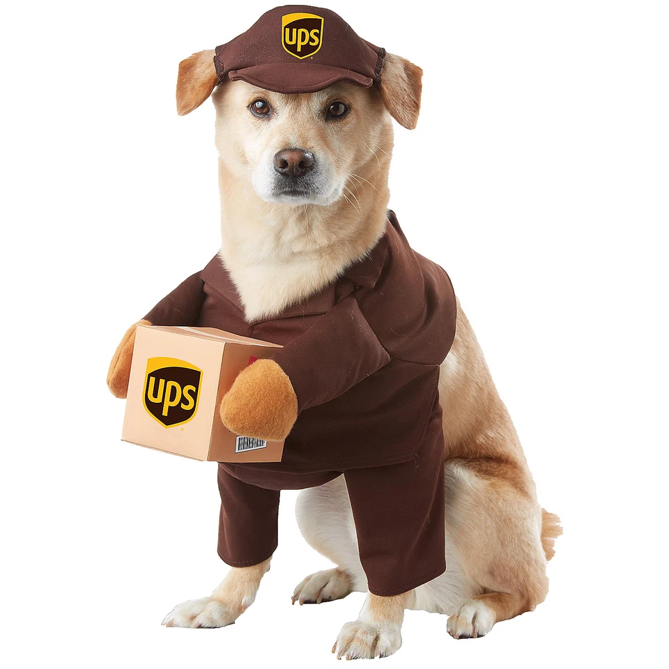 California Costumes Collections PET20151 UPS PAL Dog Costume Large