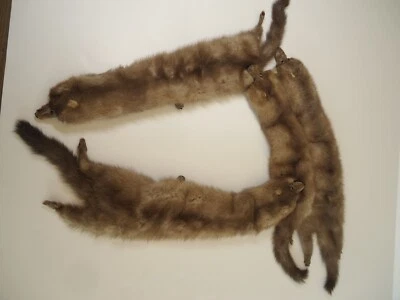 Mantón envolvente boa cuello estola visón de 4 pieles vintage accesorios de moda cuerpo completo Foto 1 de 4