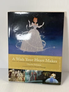 A Wish Your Heart Makes Book Charles Solomon Grimm Aschenputtel Cinderella 2015 - Imagen 1 de 12