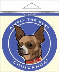 Chihuahua Car Magnet 4x4" - Picture 1 of 1