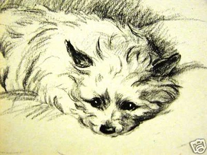 Lucy Dawson CAIRN TERRIER 1946 Dog Art Print Matted - Picture 1 of 3