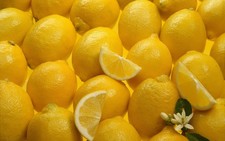 10 Lemon tree seeds! delicious fruit!! Fresh From Portugal!Sicilian Lemon seeds!