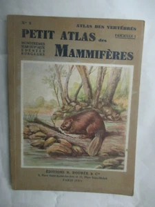 Paul Rode "Petit Atlas des Mammifères (Marsupiaux,Rongeurs,etc.) / Boubée 1946 - Picture 1 of 3