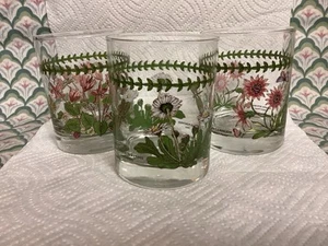 Portmeirion BOTANIC GARDEN Tumbler Low Ball Glasses 4 1/8” Tall Set of 3 EUC - Picture 1 of 6