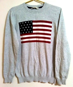 H&M Pullover Sweater US 14Y Unisex Youth Gray American Flag Patriotic L/S - Picture 1 of 5