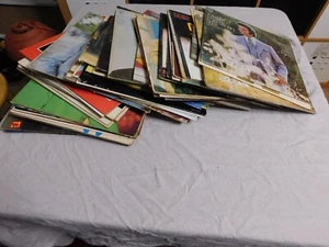 BULK LOT OF 48  VINTAGE MALE / FEMALE POP VOCALIST 33 RPM LPS      B3 - Picture 1 of 13