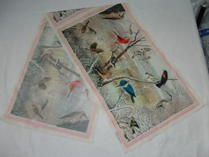 National Wildlife Federation 1979 Vtg Scarf Long Birds Ornithology Cardinal - Picture 1 of 4