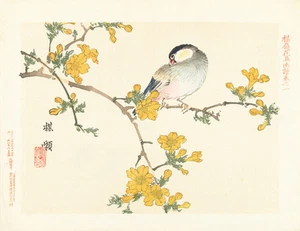 Songbird on Flowering Branch by Aoki Kosaburo 75cm x 58cm Canvas Print - Bild 1 von 1