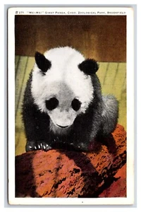 Mei Mei the Giant Panda Brookfield Zoo Illinois IL UNP Linen Postcard Y9 - Picture 1 of 2