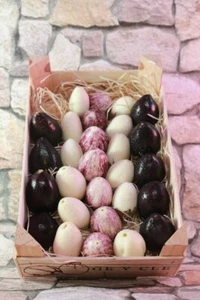 30 X HEIRLOOM EGGPLANT SEEDS MIX-EDIBLE FLOWERS-ASIAN GARDEN VEGETABLE PLANTS - Picture 1 of 20
