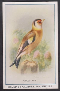 British Birds 1910 (tarjetas de recompensa) por Cadbury 'Goldfinch' - Imagen 1 de 2