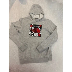 The North Face Large Boys Gray Hoodie 14/16 - Picture 1 of 5