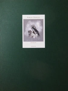 TISSELLI PORTFOLIO INDIANE P.A. - Picture 1 of 16